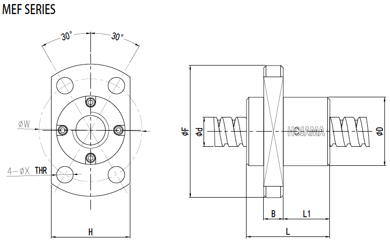 MEF2