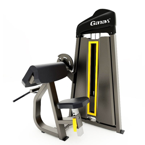 Biceps curl &amp;Triceps extension Machine