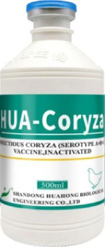 Infectious Coryza (Serotype A+B+C) Vaccine, Inactivated