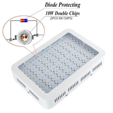 Planta LED cresce a luz para cultivo hidropônico