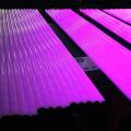 Quảng cáo Đèn ống LED kỹ thuật số đầy màu sắc