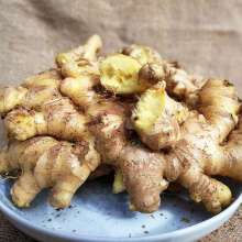 Fresh Ginger Mesh Bag Fresh Vegetable for Sale