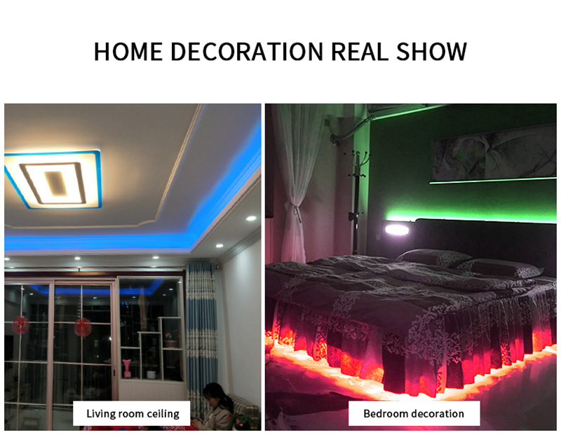 AC 220V IP65 PVC cover Double-Row Smart Light Strip Multi Color RGB cover flexible strip SMD 5050 led rope light