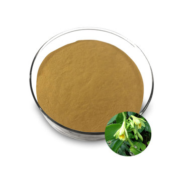 Vanilla extract powder High quality Vanilla Powder