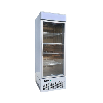 Outdoor retail store ice cream display refrigerator