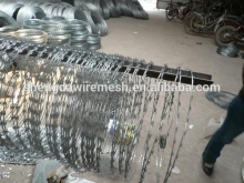 Razor Wire / Galvanized Razor Barbed Wire