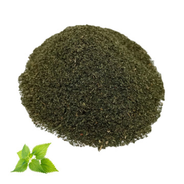 Wholesale private label heab tea nettle leaf TBC