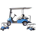 Carrello di golf elettrico biposto incidentali schienale