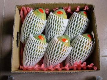 EPE fruit package foam sleeve net with high quality