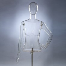 store supply warehouse transparent mannequin display