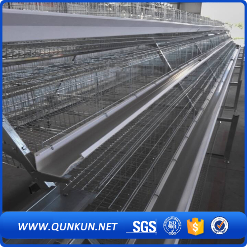 Design Galvanization Chicken Cage of Poultry Farm