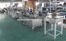 Economical high performance gelatin packing line