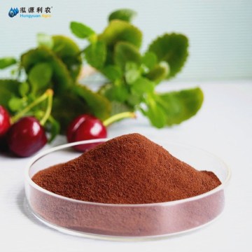 Plant Humic Acid Fertilizer