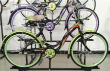 Single Speed Women City Bike