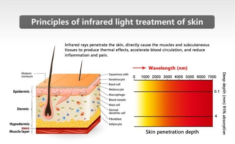 theory of Led light therapy machine