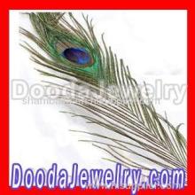 Real Natural Peacock Tail Eye Feather Hair Extension Wholesale?