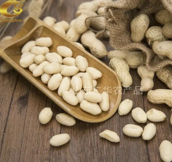 High Grade Blanched Peanut Kernels with Ce