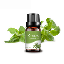 Private label oregano essential oil Clear heat dispel damp