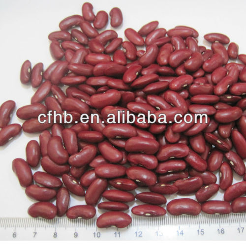 Chinese New crop British Red Kidney Beans