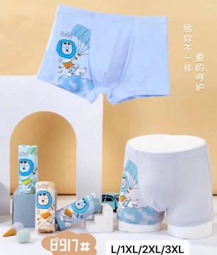 Little Boys Cotton Panty and Boxer Briefs - Lovely Printed Kids Boy Underwear