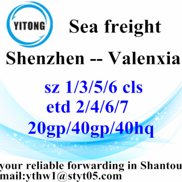 Shenzhen Professional Shipping Forwarder Agent Valenxia