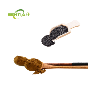 Sesame Extract Sesamin Powder