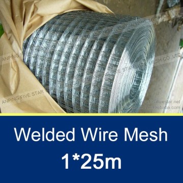 10mm*0.8mm Welded Wire Mesh for Filter