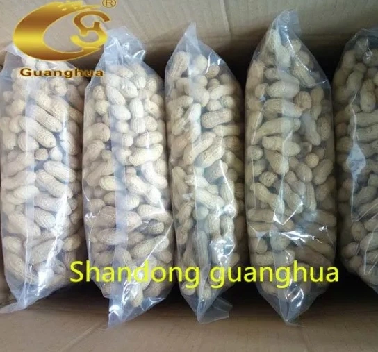 Factory Price Roasted Peanut in Shell Peanuts