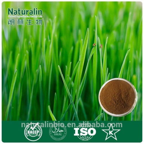 Nutritional Supplements Organic Wheat Grass Extract