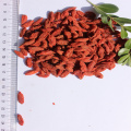 High nutrition Certified Healthy Goji Berry