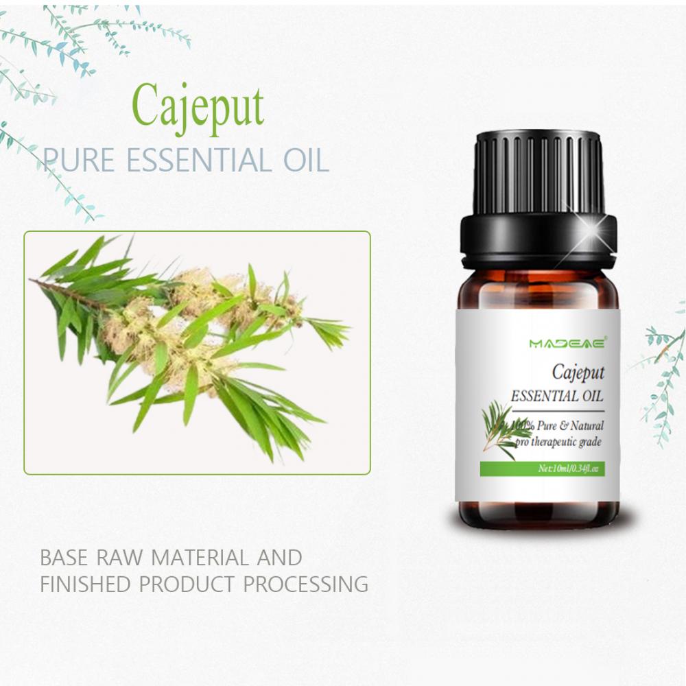 Cajeput Essential Oil Diffuser Water Soluble For Relaxing