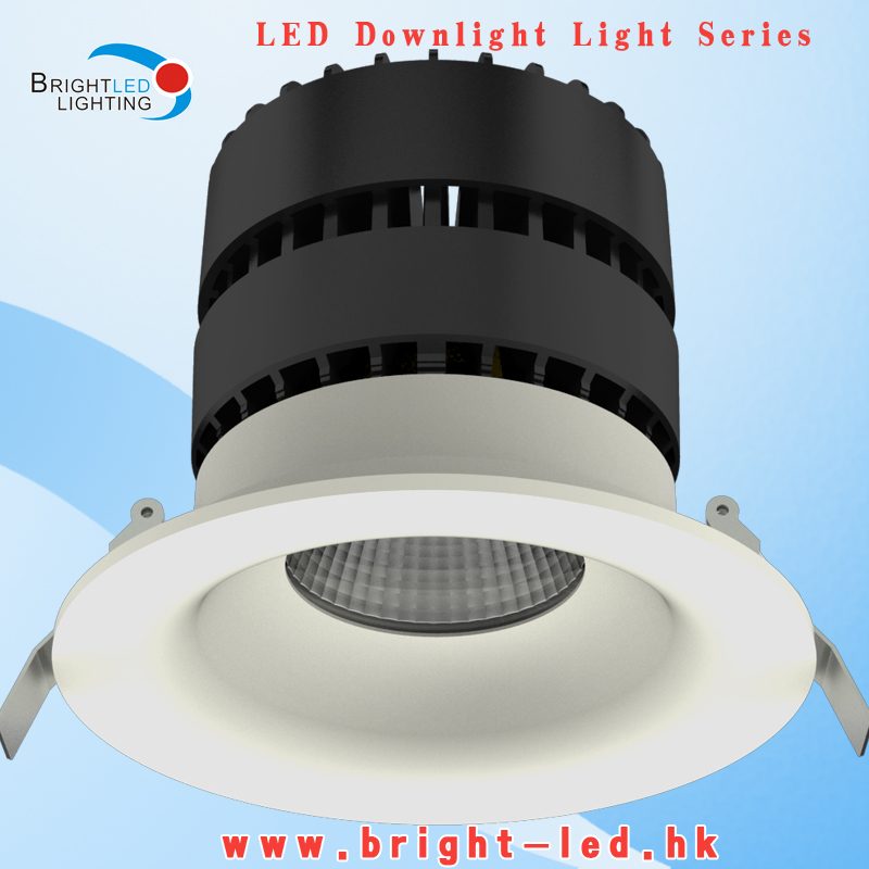 LED Recessed Down Light COB Bridgelux LED Down Light