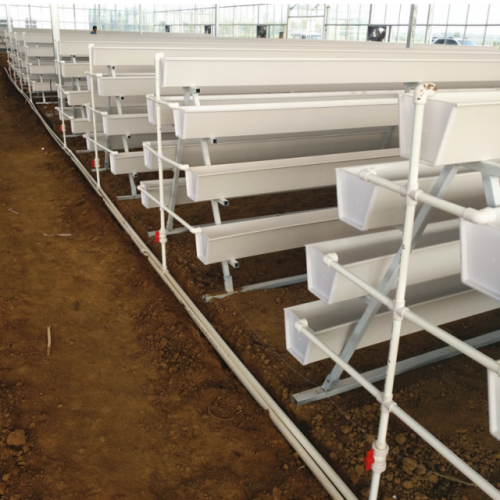 Hydroponic U-type Strawberry Growing Trough System