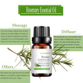 Pure Natural Rosemary Essential Oil For Hair Growth