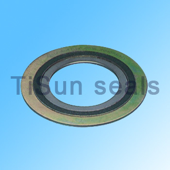 Spiral Wound Gasket?