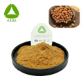 Alpinia Extract Powder Sharpleaf Galangal Fruit