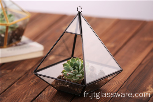 Terrarium de plante en verre suspendu de grande forme géométrique