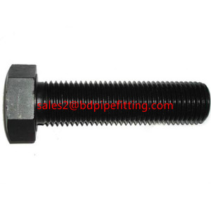 HEX BOLTS  WITH 2h Heavy Hex Nut