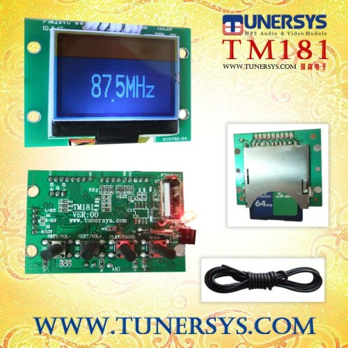 TM181 audio decoder board