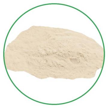 Wholesale air dried organic cauliflower powder