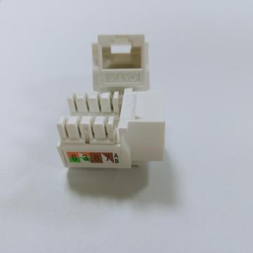 Modulo informativo di rete Cat5E