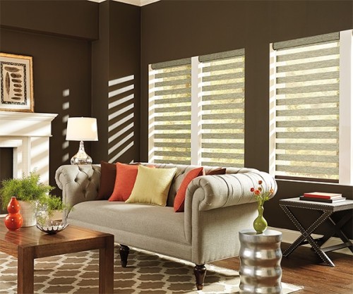 Double layer zebra blinds