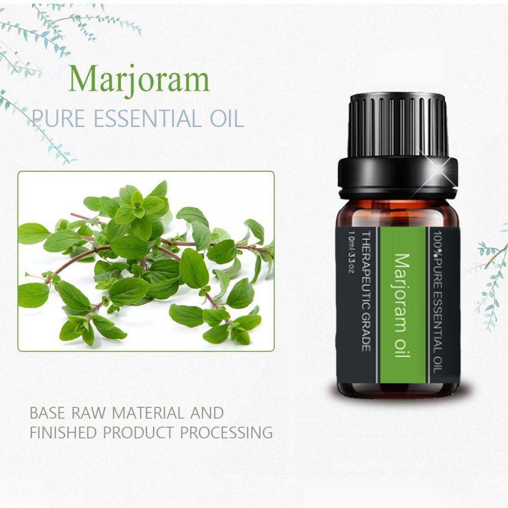 Olio di marjoram organico naturale per massaggio per la cura della pelle