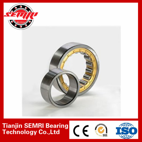 NN3005K cylindrical roller bearing(skp:TJSEMRID)