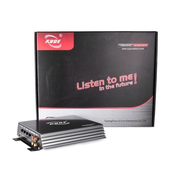Auto Power Car Amplifier 2 Channel Voice Amplifier