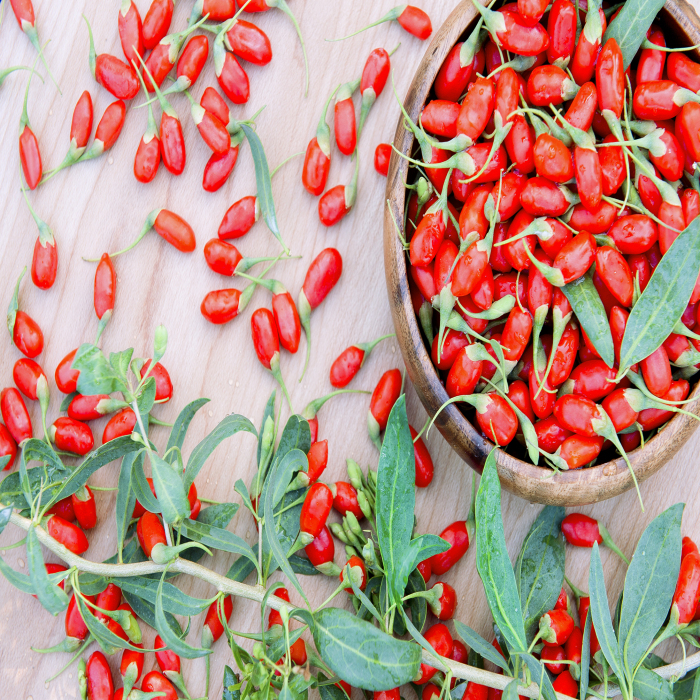 Hälsa näringsrika traditionella växtbaserade Goji Berry