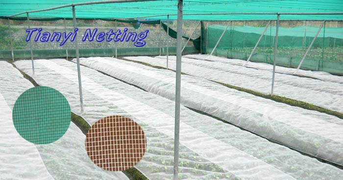 Agriculture Anti Insect Net