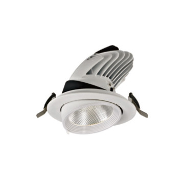 Essential Powerful 25W LED Downlight