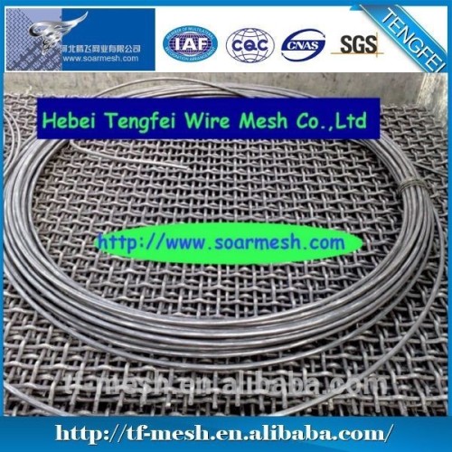 Black Painted Crimped Wire Mesh ( 80% discount ISO 9001)