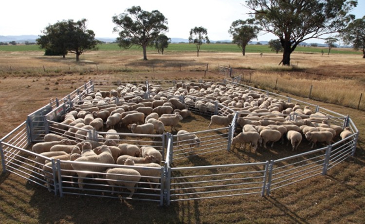 hot sale sheep panel farm fence panel with high strength goat farm fence in india